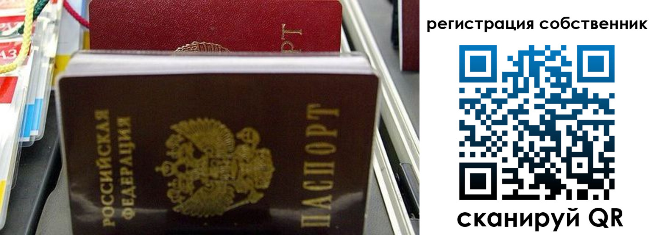 временная регистрация поиск в Смоленской области